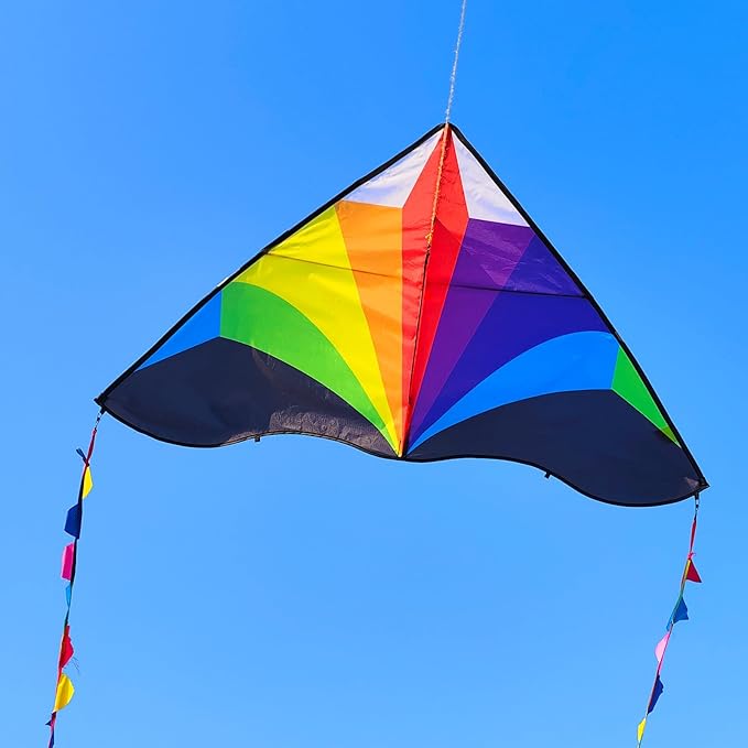 Delta Kite for Kids & Adults - Easy to Fly Large Single Line Beach Kite with 300ft String Handle Included, Perfect for Beginners, Teens