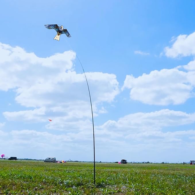 HENGDA KITE Bird Hawk Flying Kite Without Pole for Crops Farm Protector Bird Scarer Flying Kite Without Pole Bule