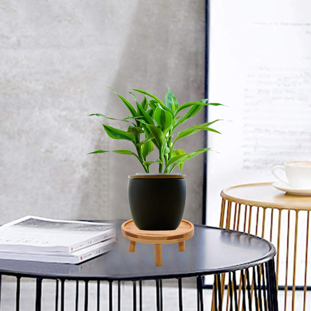 ARTORA Mid Century Modern Plant Stand, Wood Indoor Plant Holder Succulents Plant Pot Raiser Decorative Corner Planter Stand for Small to Medium Plants (Natural 2PCS)
