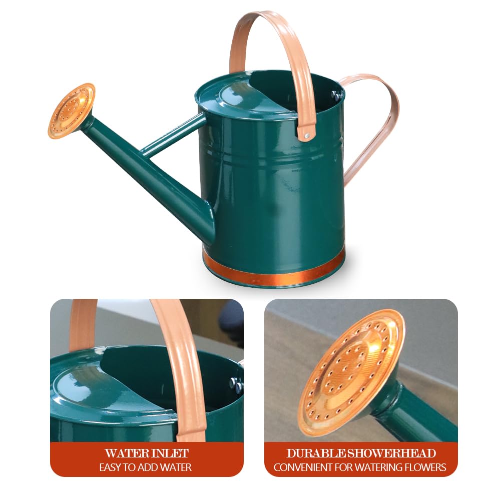 yourjoy Metal Watering Can, One Gallon Watering Cans Stainless Steel for Outdoor Indoor Garden Plants Watering (One Gallon Green Decorative Strip)