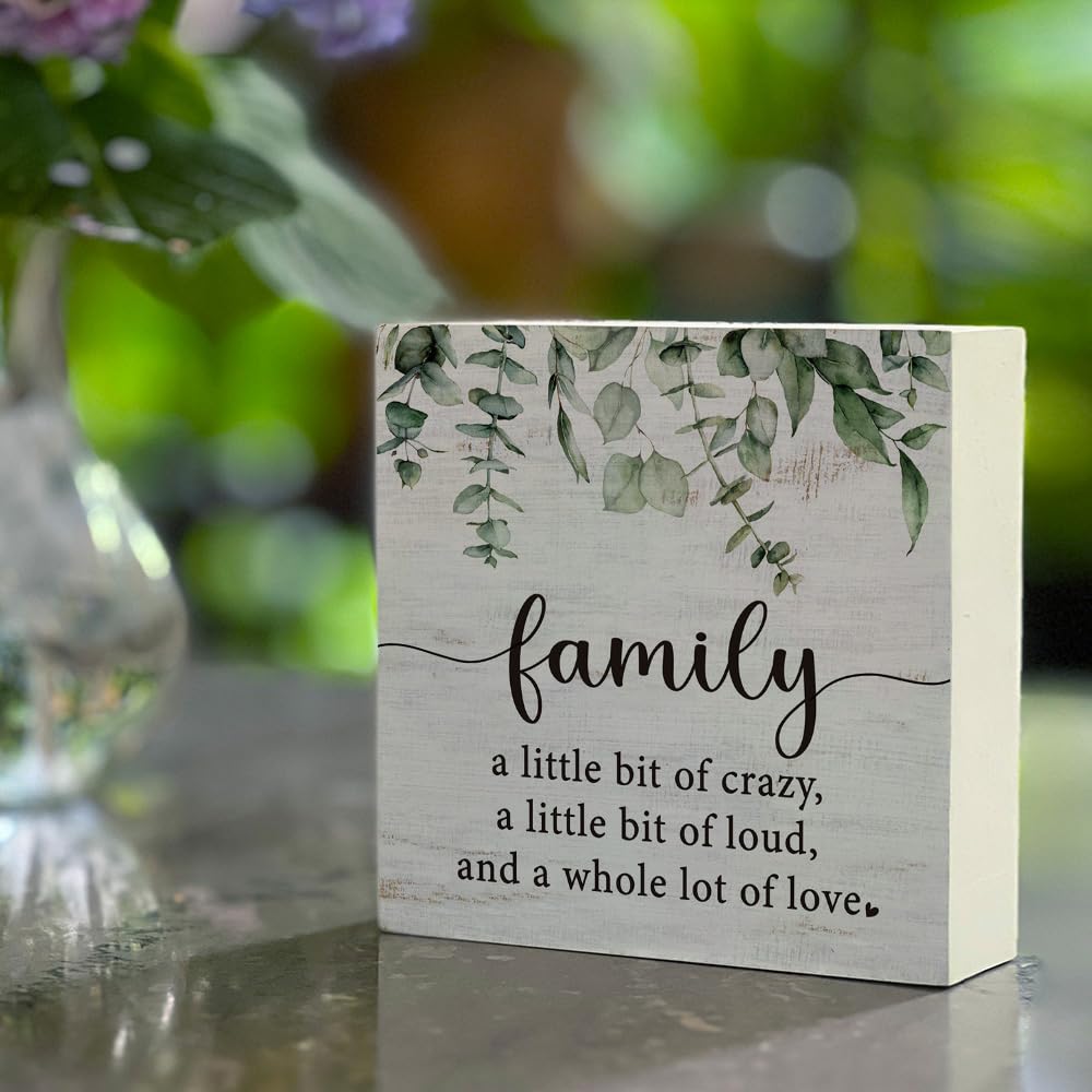 Funny Family a Little Bit of Crazy Wood Box Sign, Inspirational Quotes Rustic Farmhouse Wooden Sign Family Inspirational Wall Art Sign for Home Living Room Desk Shelf Table Decor