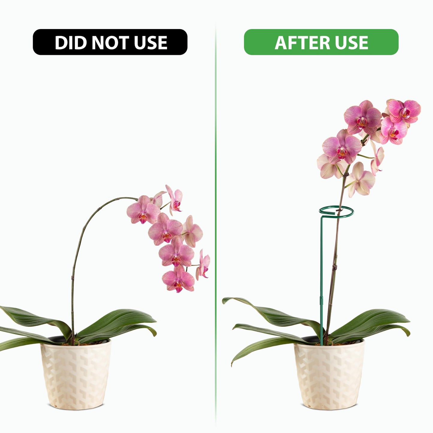 Unves 24 Inch Plant Stakes Tall, 12 Pack Garden Plant Support Stakes,Two Sizes(12" or 24") Single Stem Plant Cage for Outdoor Indoor Plants Orchid, Tomatoes, Peony, Lily, with 100 Pcs Twist Ties