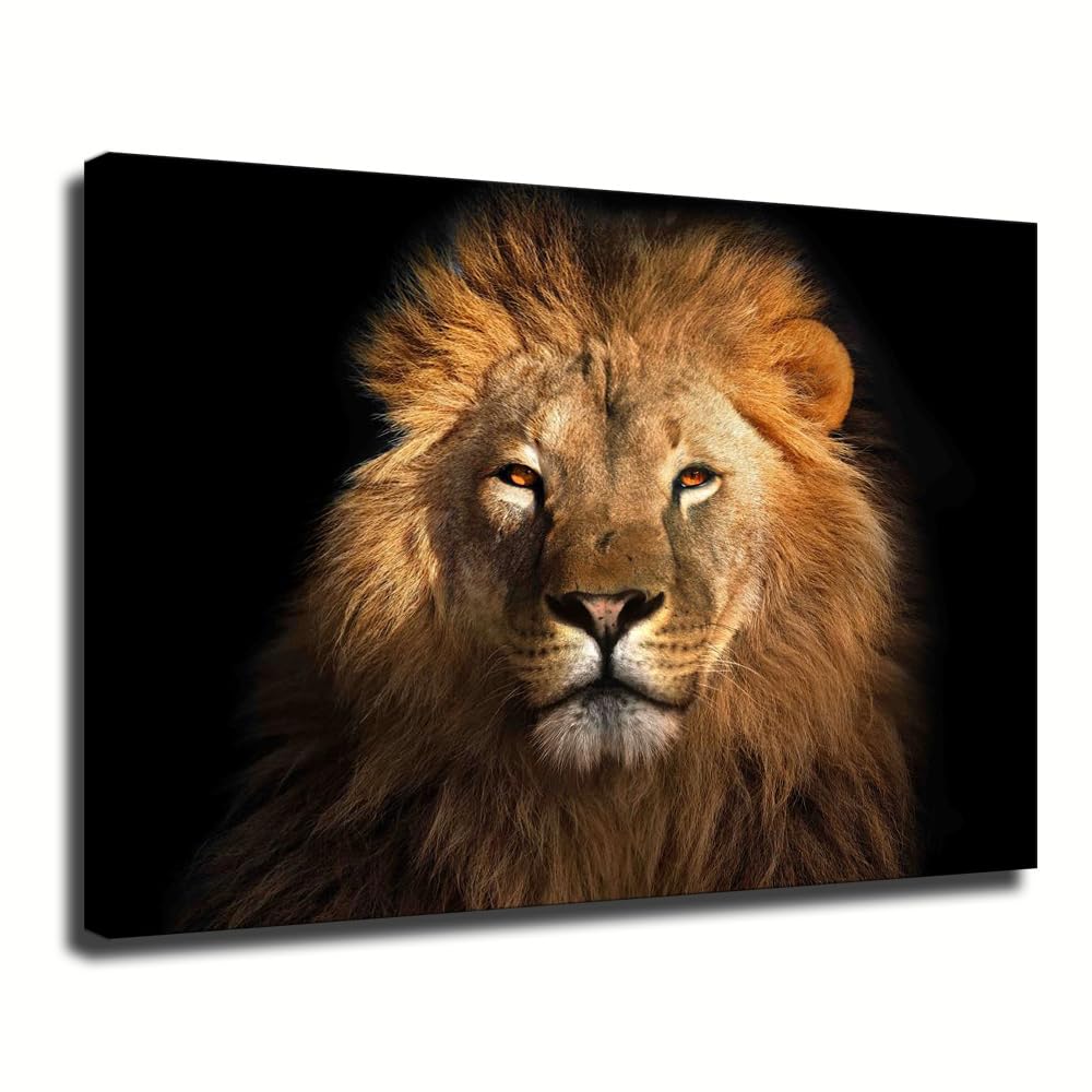 African Lion Wildlife Poster Canvas Art Print Wall Art Picture Indoor Bedroom Bathroom Living Room Garage Cafe Aesthetics Decor Ready To Hang (Framed,08x12 inch)