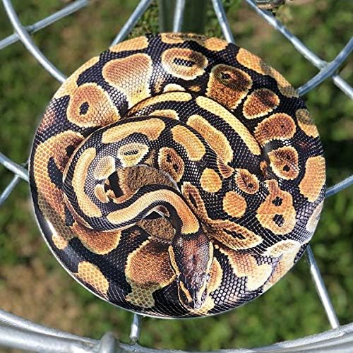 Discraft ESP Buzzz Supercolor Midrange Disc Golf Disc - Custom Design Discraft Discs - Straight Flying and Great for All Skill Levels - Free Mini Marker Included