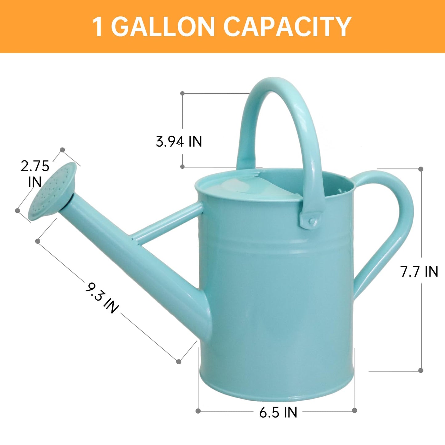 Lechloris Metal Watering Can for Outdoor Plants, 1 Gallon Galvanized Steel Watering Can with Removable spout for Outdoor & Indoor Use, Perfect for Garden Flower, Houseplants, Mint