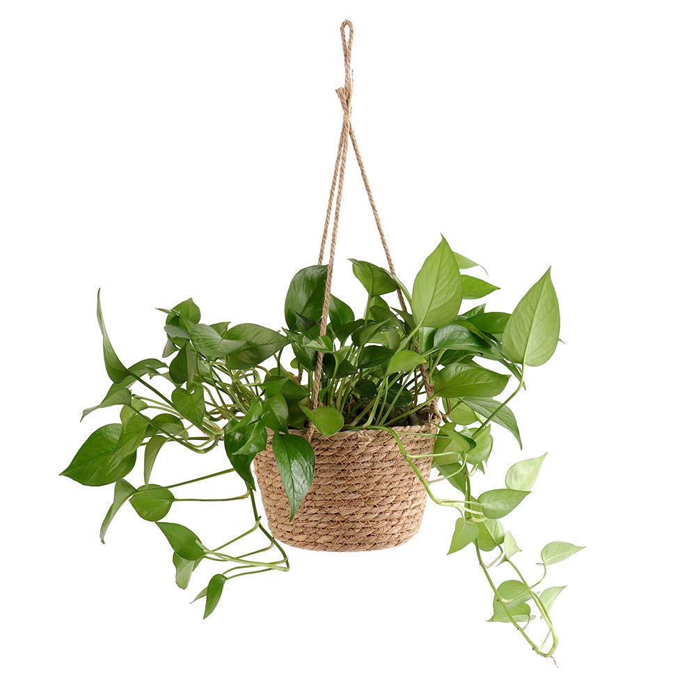 RXMORI Jute Rope Hanging Planter Basket, Rattan Woven Plant Hanger with Plastic Liner Macrame Plant Holder Storage Organizer for Plants Indoor Outdoor(Brown)