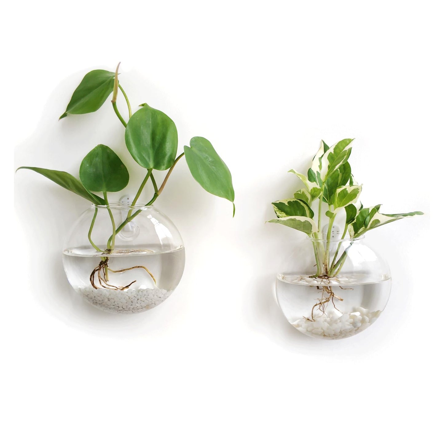 Mkono Wall Hanging Glass Terrariums Planter Oblate Flower Vase for Hydroponics Plants, Bathroom, Home Office Living Room Decor, Set of 2