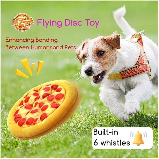 Pizza Flying Disc Toy