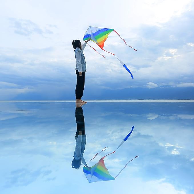 Mint's Colorful Life Kite Set for Kids and Adults, Easy to Fly Butterfly Delta Airplane Dragon Octopus Kite, Large Beach Kites Kits with 300ft String, Best for Gifts & Family Outings
