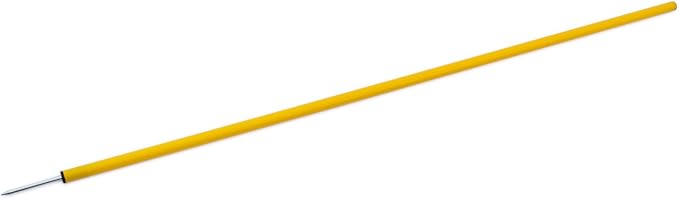 Champion Sports Coaching Sticks
