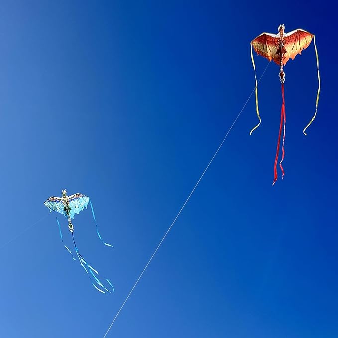 Mint's Colorful Life Dragon Kite for Kids & Adults, Easy to Fly Best Beach Kites for Beginners, 300ft Kite String Included