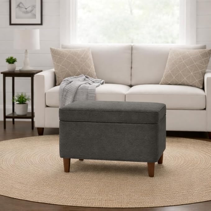 Spatial Order Home Decor | Dinah Collection Modern Storage Ottoman | Ottoman with Storage for Living Room & Bedroom (Cool Light Gray)