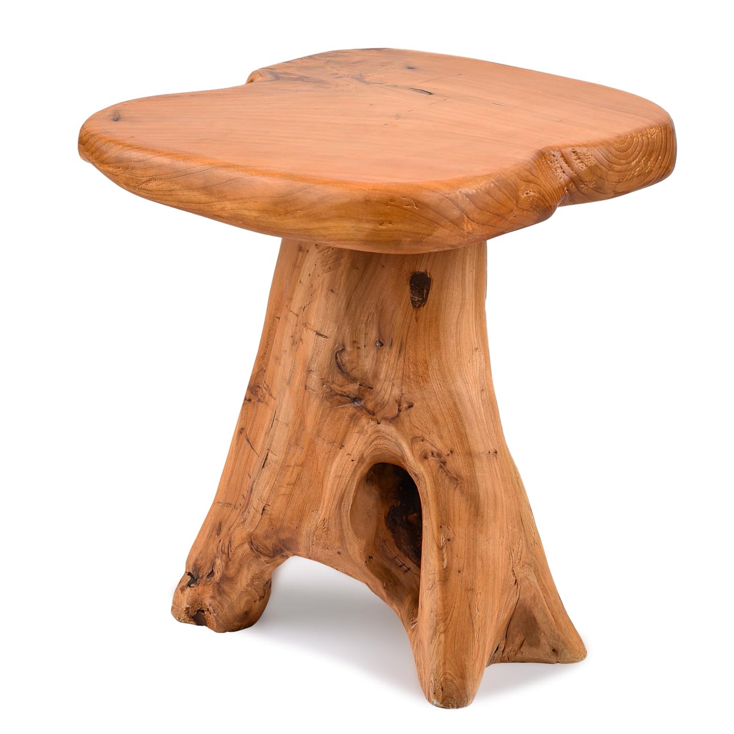 GJRIEFD Small Side Table, Freeform Live Edge Wood Stool, Unique Design Natural Plant Stand for Patio, Garden, Yard, Living Room, Bedroom