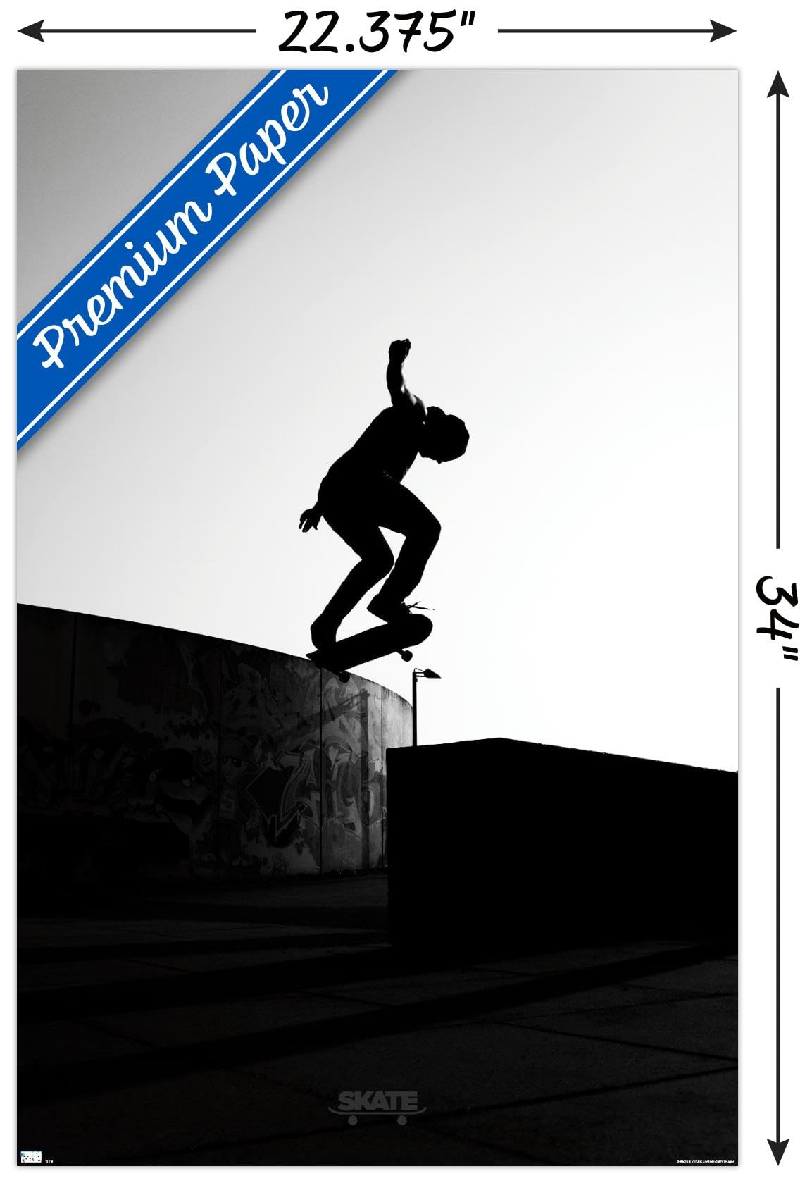 Trends International Skateboarding - Silhouette Wall Poster, 22.375" x 34", Premium Unframed Version