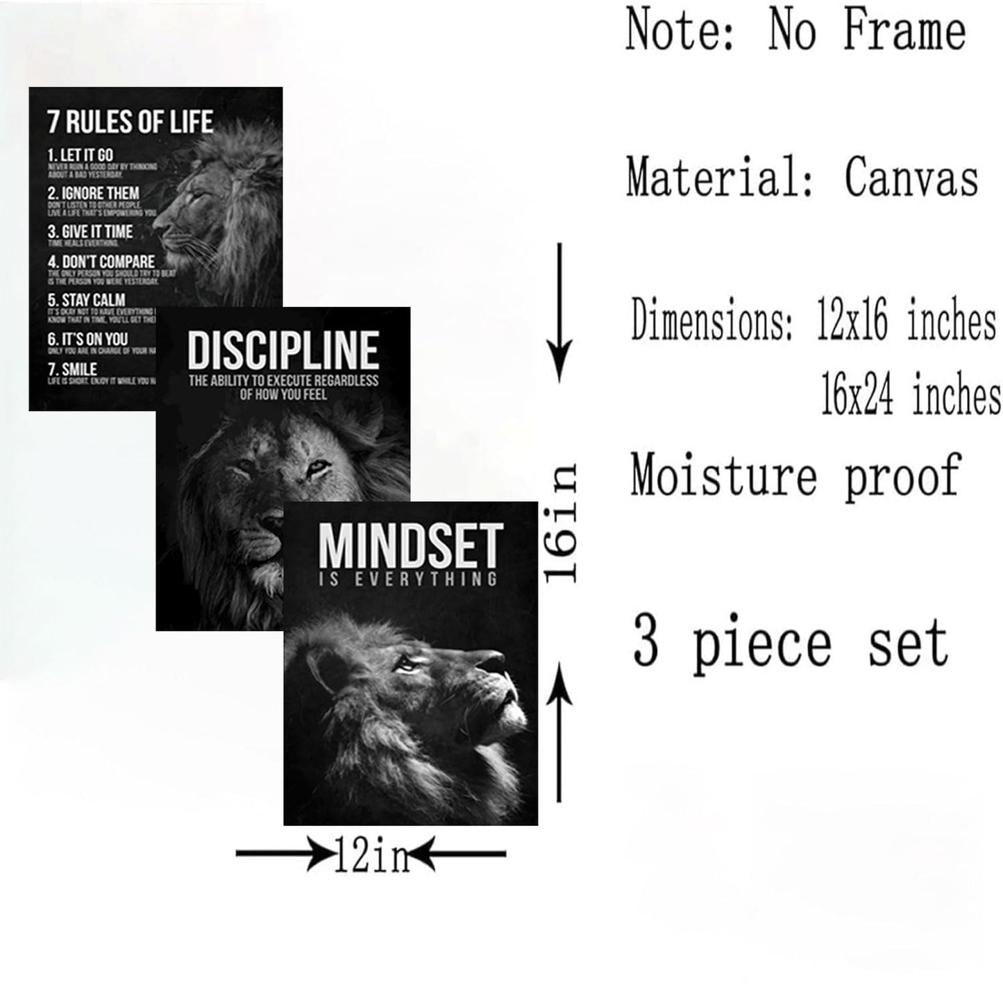 3 Pcs Lion Inspirational Quotes Wall Art 7 Rules of Life Poster Wall Decor Pictures Office inspiration Canvas Posters Prints for Home Office gym study workplace Decoration 12x16 in Unframe