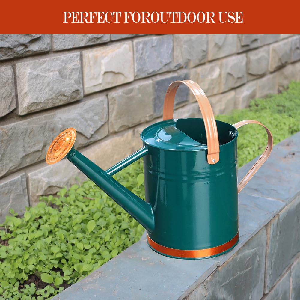 yourjoy Metal Watering Can, One Gallon Watering Cans Stainless Steel for Outdoor Indoor Garden Plants Watering (One Gallon Green Decorative Strip)