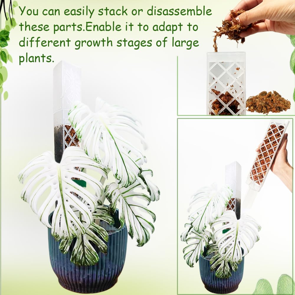 MIIIM 6 Pcs Self-Watering Moss Poles, D Shape Moss Pole Kit for Climbing Plants Indoor, Semi Transparent Monstera Plant Support, 69 Inches in Total Length