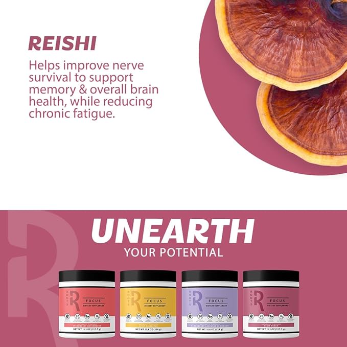 Roots Focus Nootropic Brain Supplement, BlackBerry Lavender Lemonade, Blend of Lion's Mane, Cordyceps, & Reishi Functional Mushrooms with Extended-Release Caffeine, 15 Servings