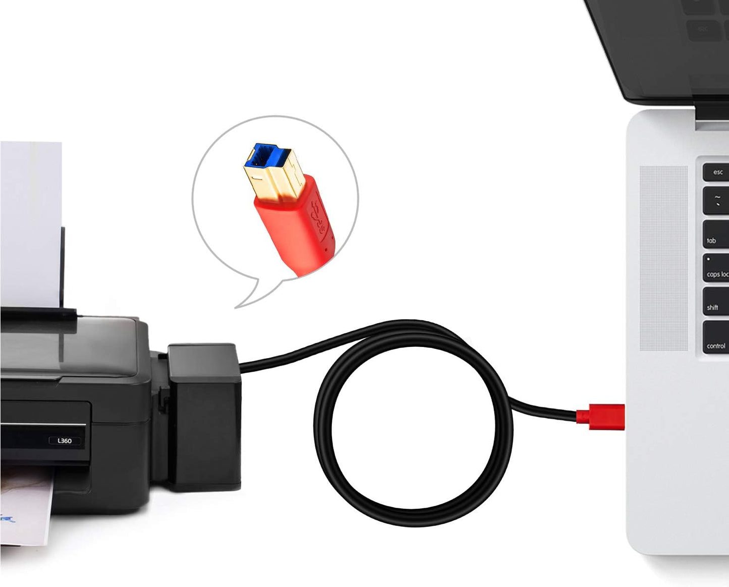 3.0 25Ft, (25Ft/8m) Tan QY USB Cable A Male to B Male Type A to B Male Compatible with Hard Disk