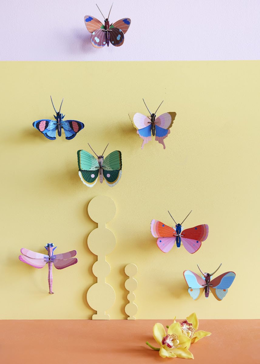 STUDIO ROOF, Wall Art Butterfly, Fern Striped Butterfly, Eco-Friendly & Creative Gift