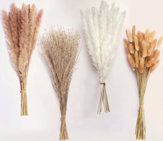 110 Stems Dried Pampas Grass, Boho Table Decor Natural Reed Phragmites Grass + Brown & White Pampas Grass + Bunny Tails Flowers Bouquet for Wedding Floral Arrangements Farmhouse Home Rustic Wall