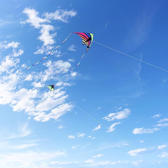 Mint's Colorful Life Delta Kite for Kids & Adults, Extremely Easy to Fly Kite, Best Kites for Beginner