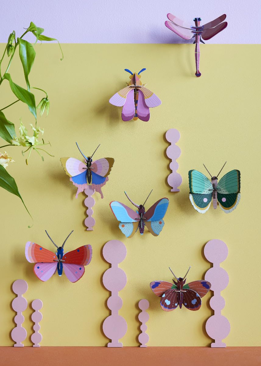STUDIO ROOF, Wall Art Butterfly, Fern Striped Butterfly, Eco-Friendly & Creative Gift