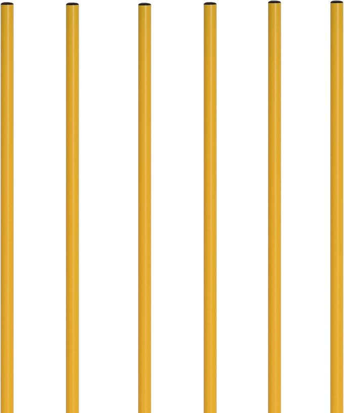 Champion Sports Coaching Sticks