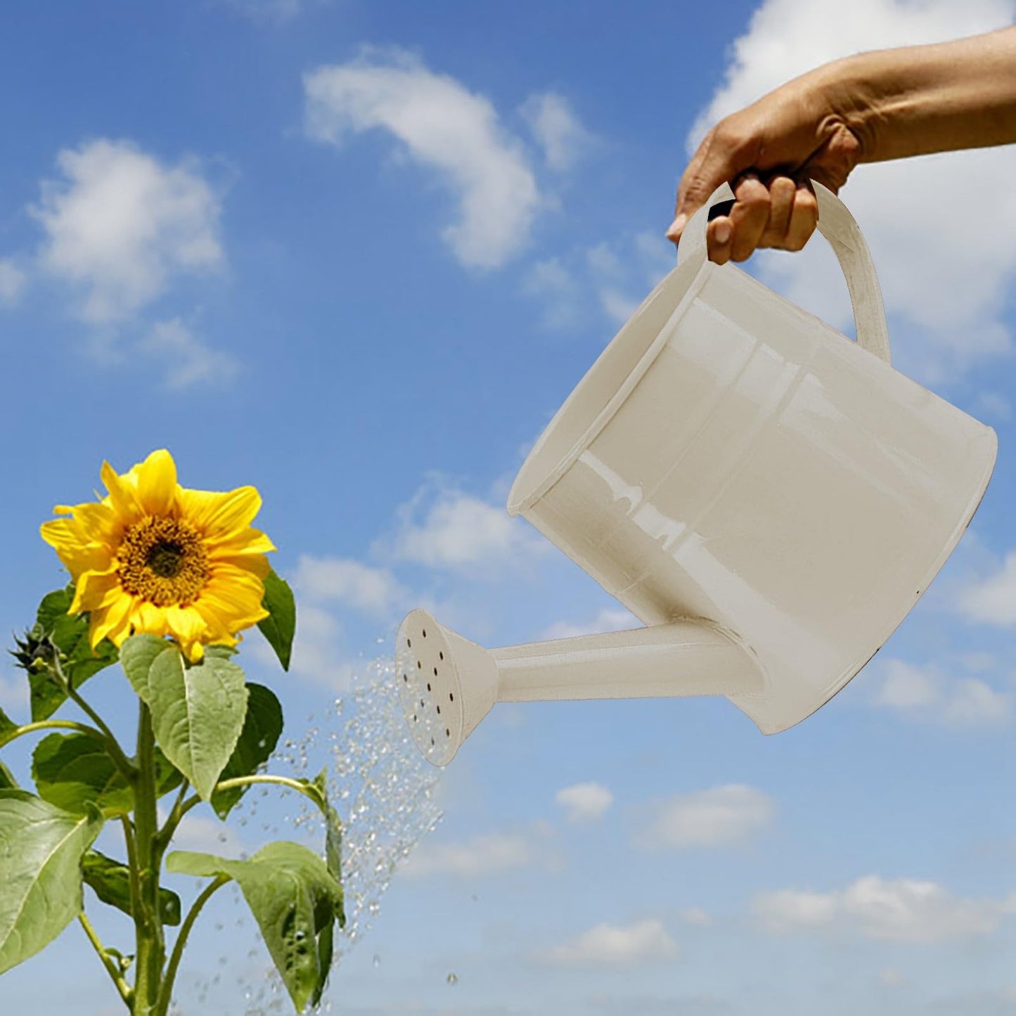 Metal Watering Can Gardening Tool Accessories, 1L Garden Watering Bucket Sprinkler Iron Watering Can for Outdoor Indoor Plants Lawn Garden (White)