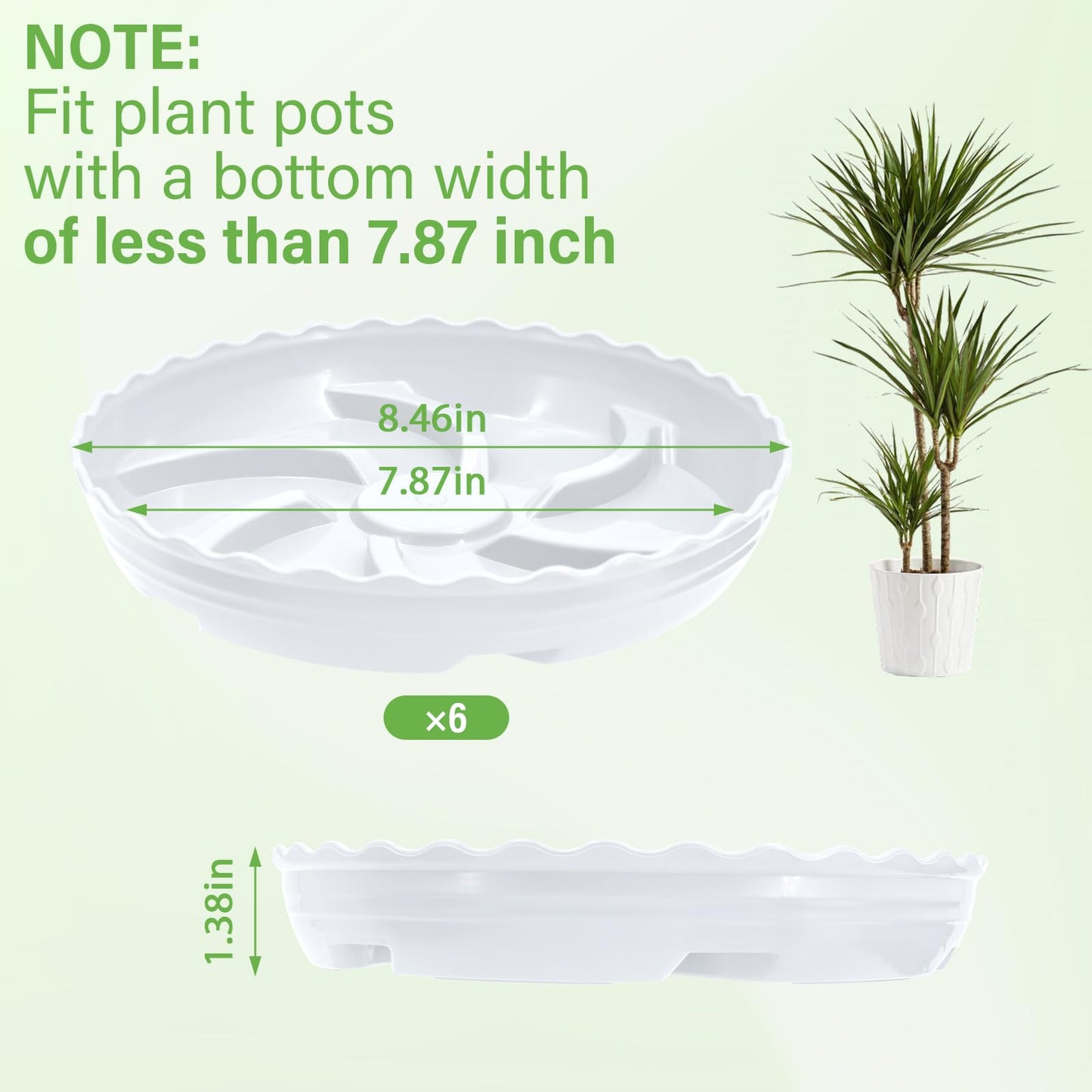 ittyfei 6 Pack 8 Inch Plant Trays for Pots, Raised Ridge Plant Saucers,6 10 12 14 Inch Durable Plastic Plant Pot Saucer,White Round Plant Water Catcher Tray for Indoors (White, 8inch 6pack)