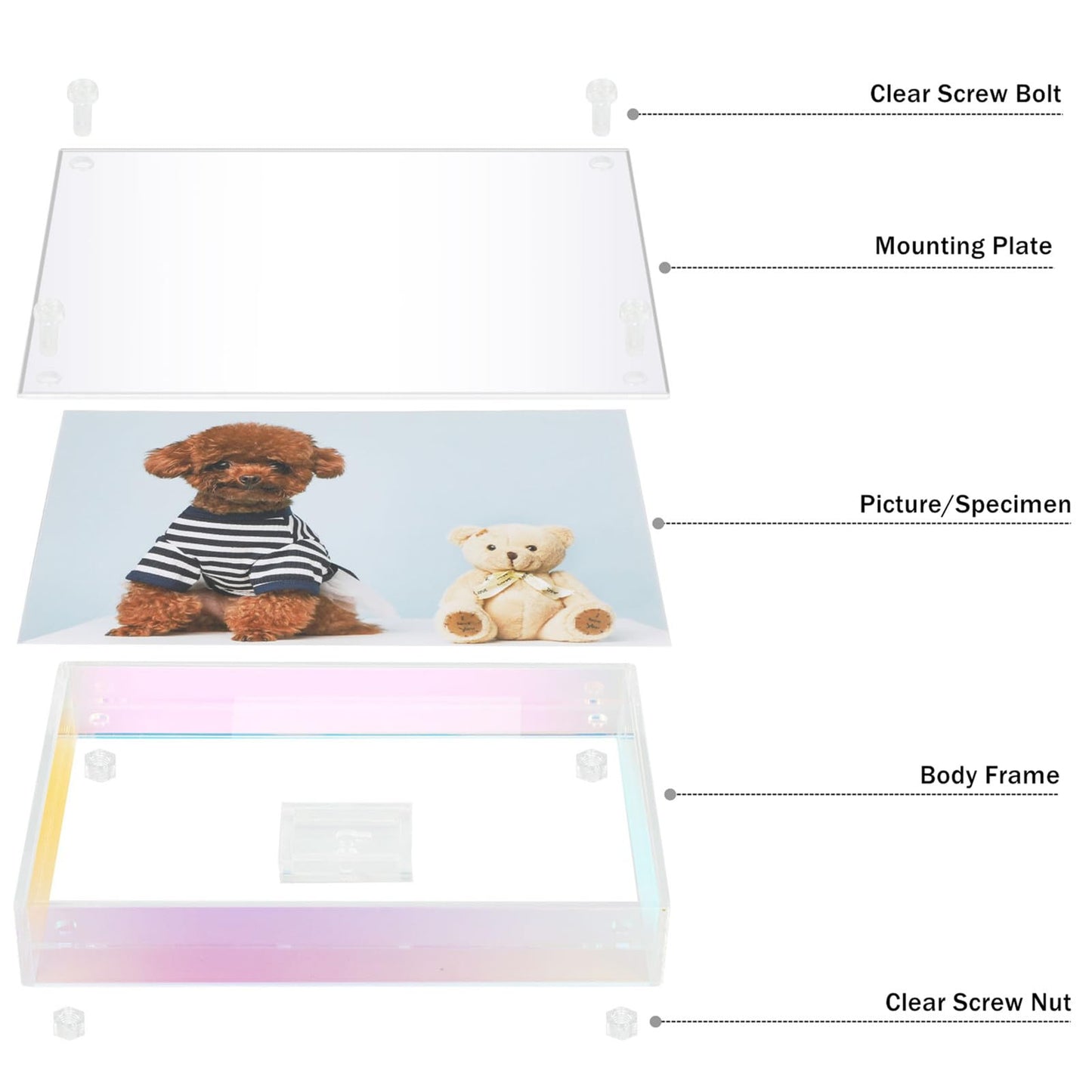 Gelite Acrylic 11X14 Picture Frame to Display 11x14 8x10 8.5x11 9x12 Pictures Mat-free Neon Floating Photo Frame for Wall and Tabletop, Iridescent Rainbow