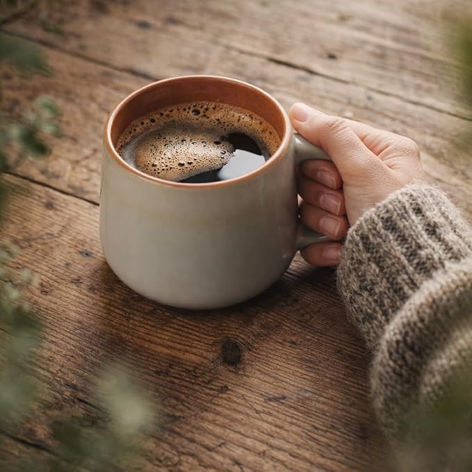 Ava Nord Large Ceramic Coffee Mugs Set of 4 | 16 oz Stoneware Coffee Cups | Lead-Free, Non-Toxic | Microwave and Dishwasher Safe | Comfortable Handle | Nordic Design for Tea, Cocoa, Latte | Sage Ash