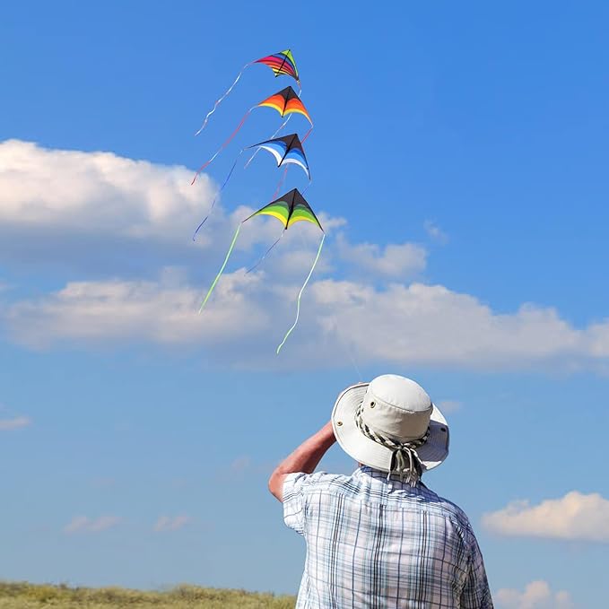 Mint's Colorful Life Delta Kite for Kids & Adults, Extremely Easy to Fly Kite, Best Kites for Beginner