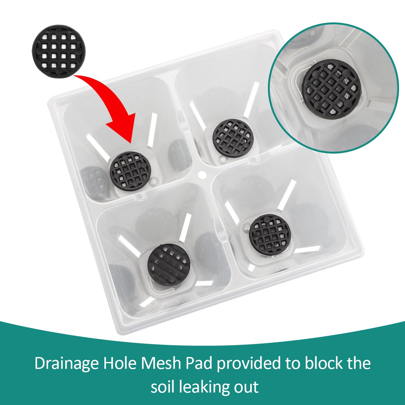 RooTrimmer 80 Pack Reusable 4-Cell Clear Seed Starter Trays - Extra Large Drainage Holes, Easy Transplant, Clear Transparent Tray for Root Observation, Seed Starting, Fits Standard 1020 Flats