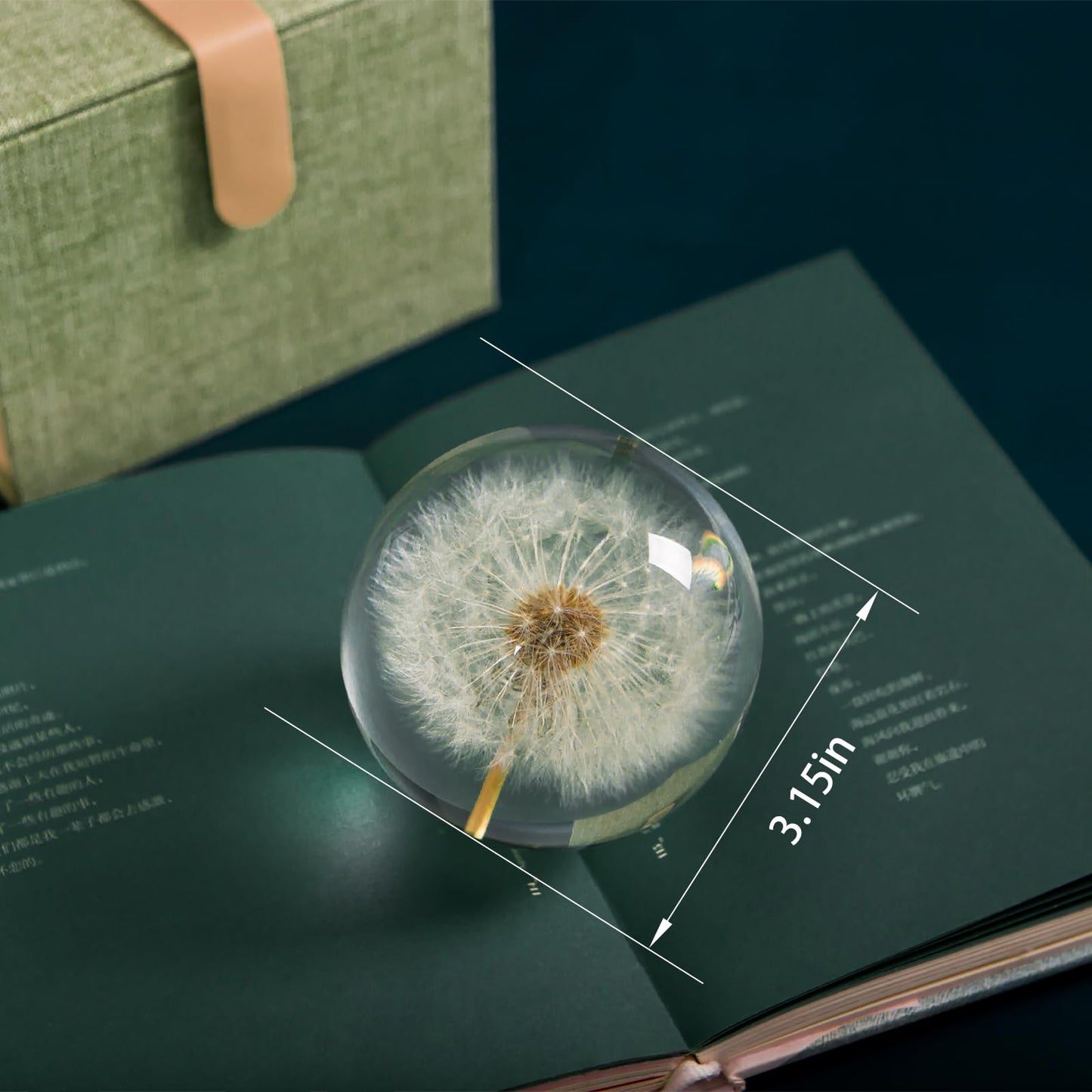 Paperweight Dandelion Dream Ball. Crystal Wishing Ball. Unique Paperweight Made of Dandelion. Gift for Women Men (Mom, Dad, Teacher), Birthday, Wedding, Valentine's Mother's. (8CM)