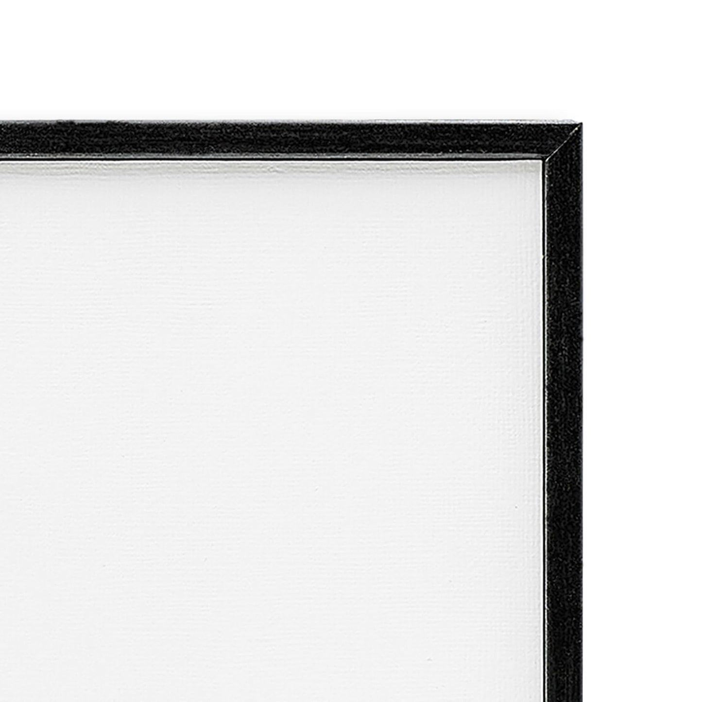 Stupell Industries 'Scientific Botanical Plant', Framed Giclee Art, Black, 16 x 20 Inches, Easy to Hang and Sturdy, Made in USA, by Unknown Artist
