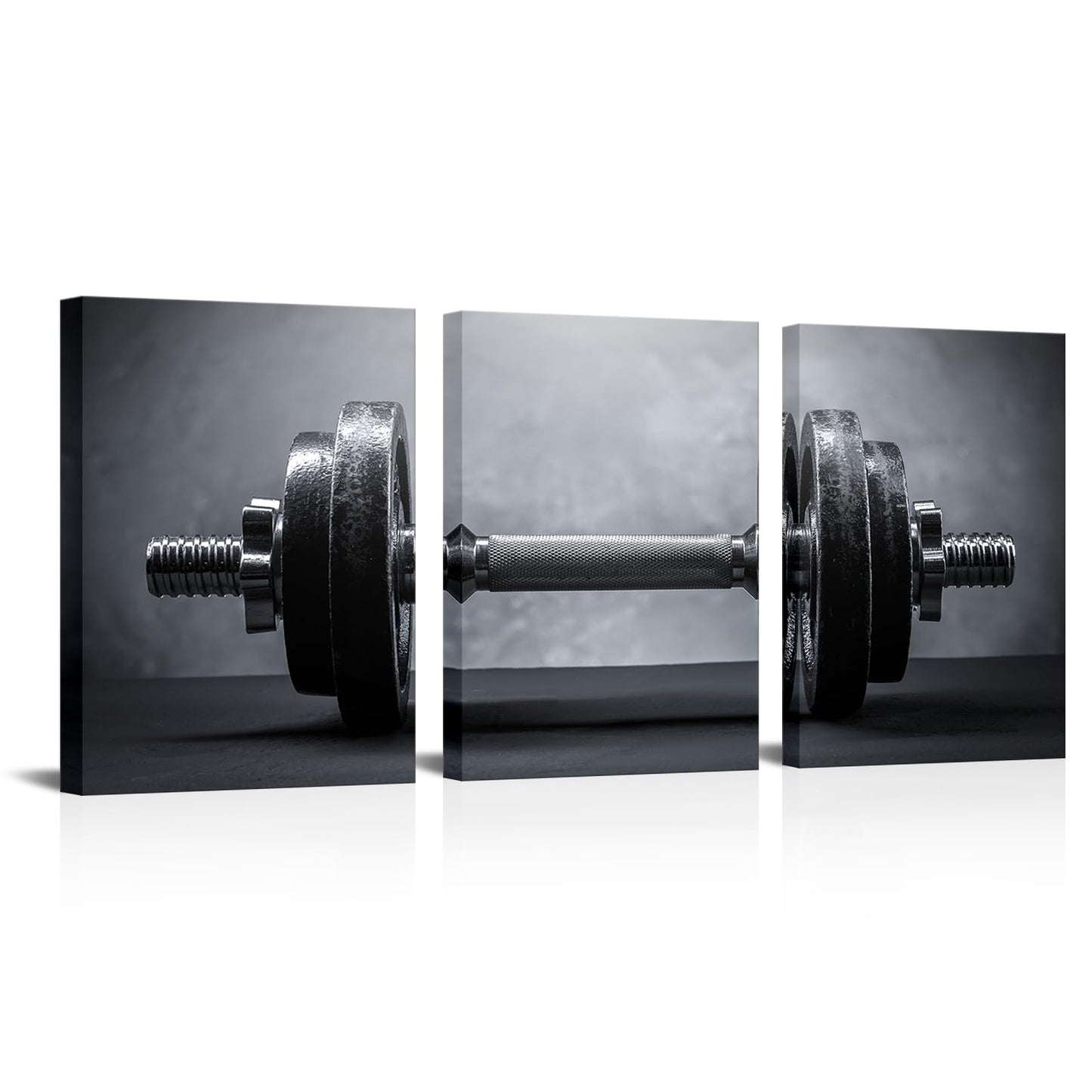 3 Piece Black White Wall Art Gym Picture Modular Dumbbells Picture Sports Artwork Sports Room Living Room Game Room Decor Framed Bedroom Decor