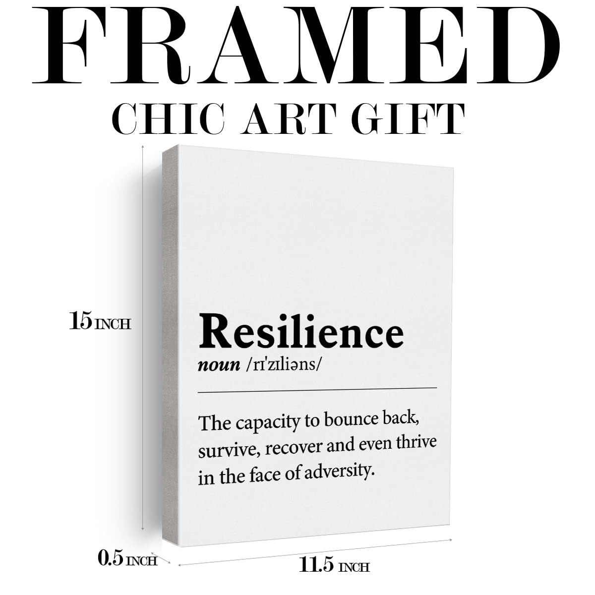 Inspirational Wall Art Decor Motivational Poster Framed Painting Print Resilience Definition Canvas Artwork for Home Office Decor 12 X 15 Inch