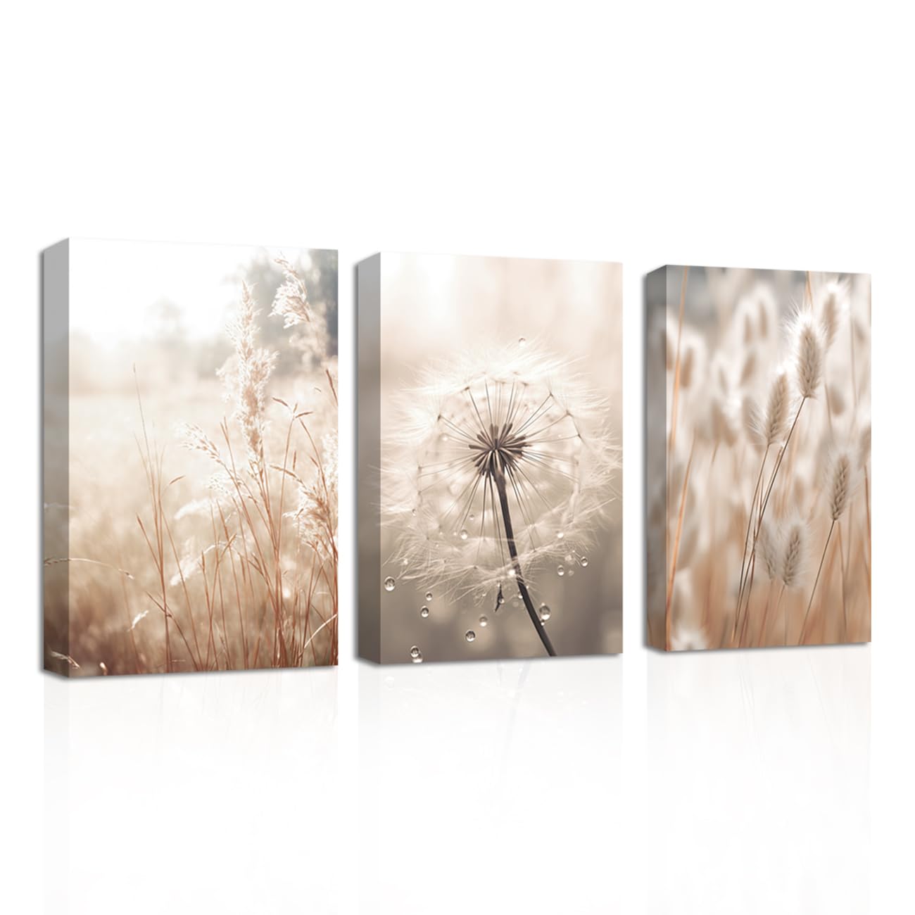 CXHOSTENT Dandelion Canvas Wall Art 3 Piece Beige Botanical Dandelion Reed Grass Painting Prints Nordic Posters Nature Plant Wildflower Picture (Nature-2, 11.00"x14.00"x3P)