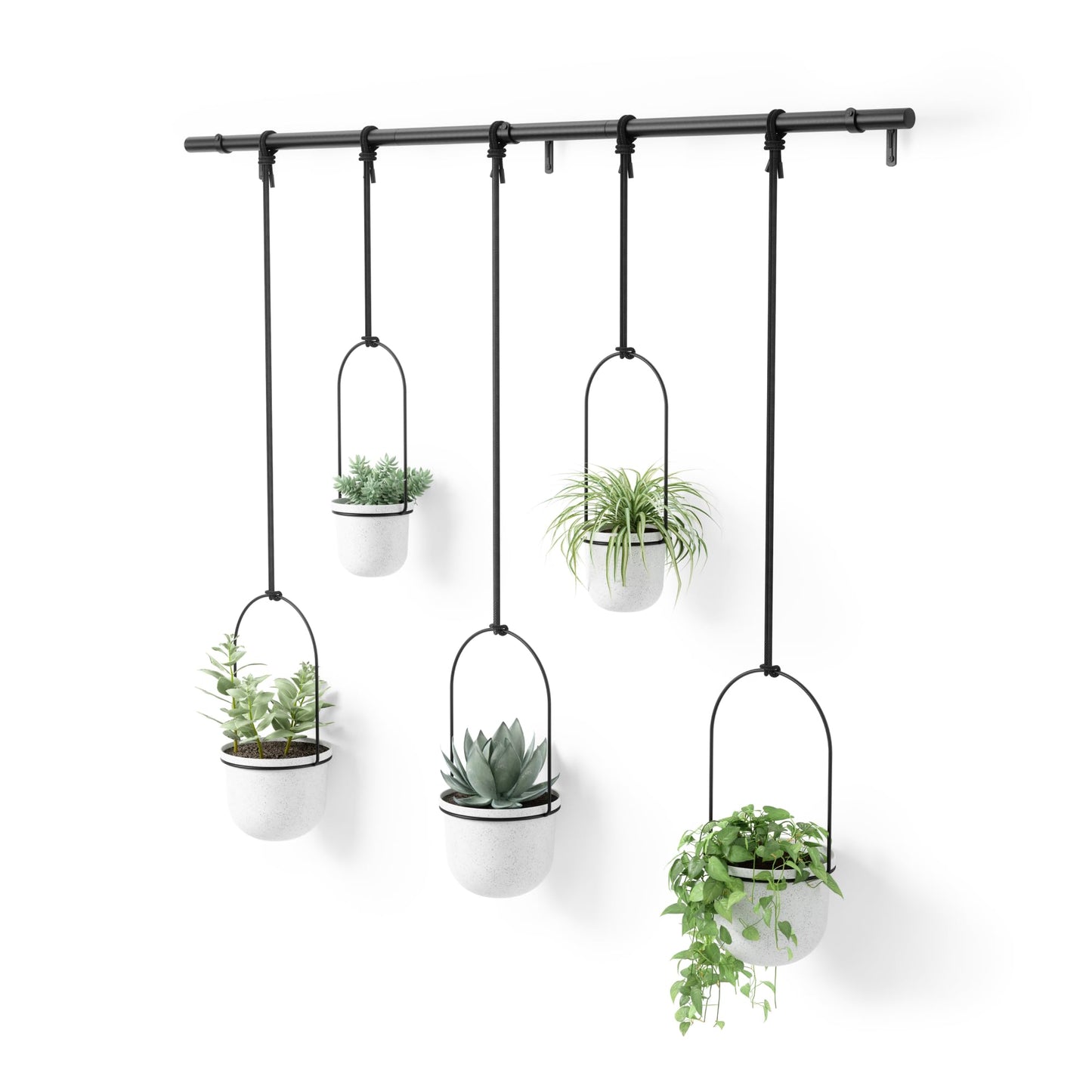 Umbra Triflora Hanging Planter for Window, Indoor Herb Garden, Set of 5, White/Black