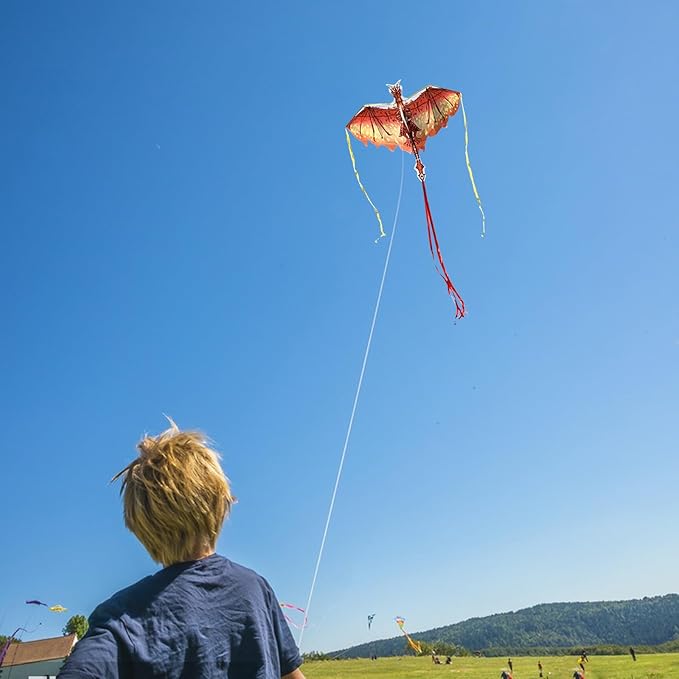 Mint's Colorful Life Dragon Kite for Kids & Adults, Easy to Fly Best Beach Kites for Beginners, 300ft Kite String Included