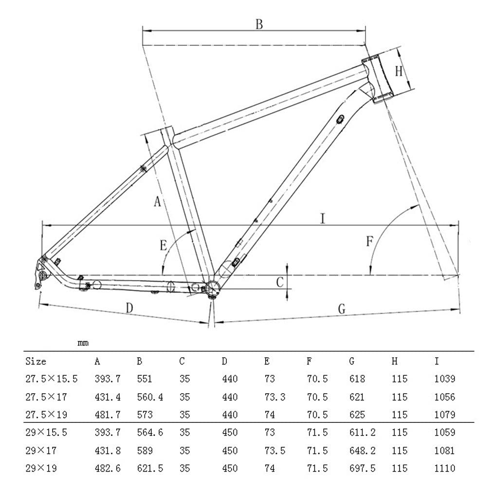 HIMALO Bike Frame 27.5/29er Mountain Bike Frame 15.5''/17''/19'' Lightweight Titanium Alloy Rigid Frame Disc Brake Thru Axle 12x142mm XC AM(29 * 19'')