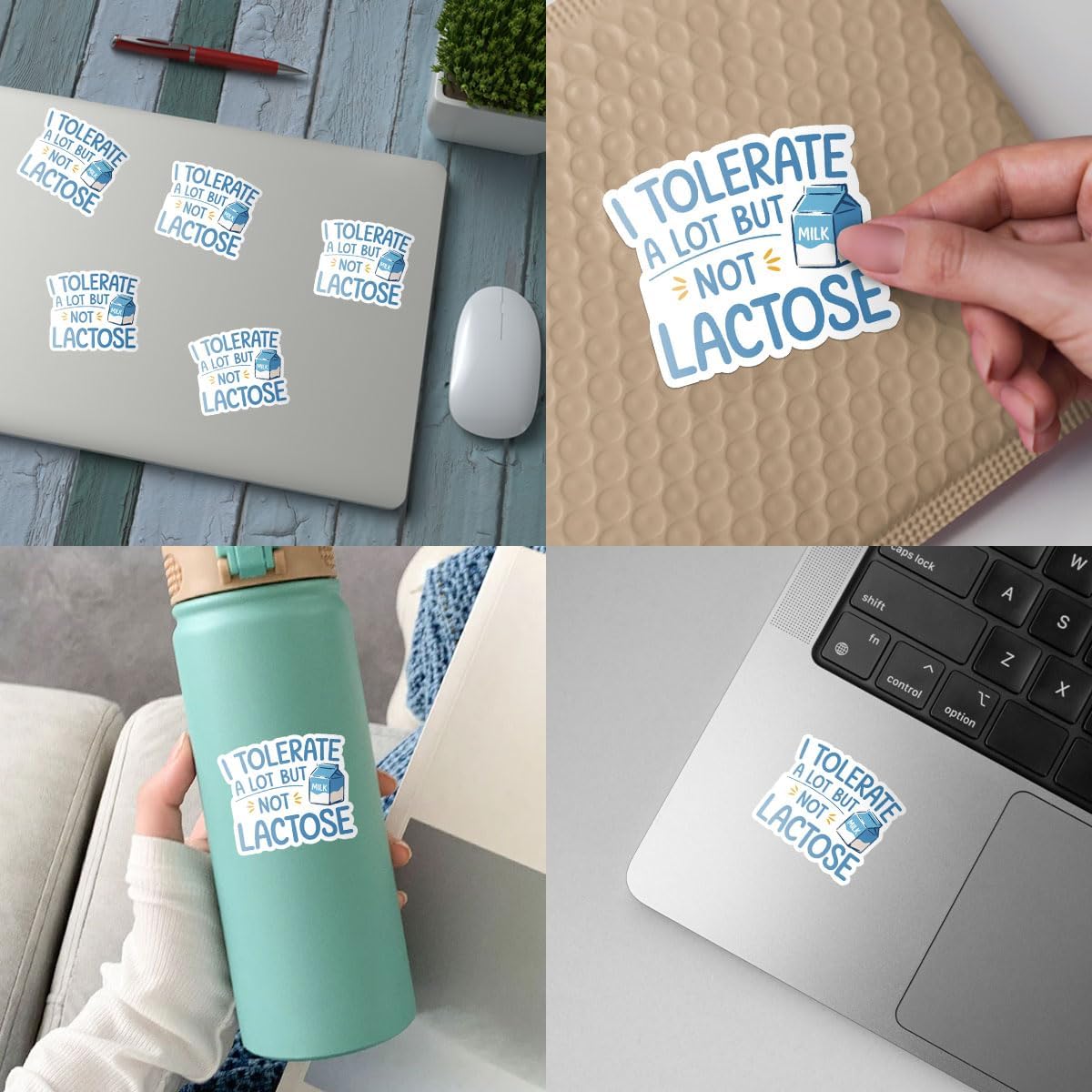 3Pcs Toolbox 3" I Tolerate a Lot But Not Lactose Sticker Fun and Funny Lactose Intolerant Stickers Gift for Milk Joke