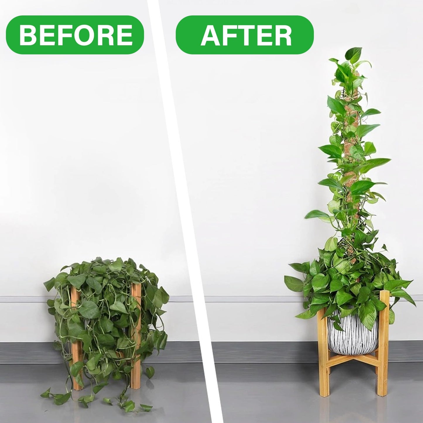 Glory Island 63 Inch Moss Pole Monstera Plant Support, Coir Totem Pole for Indoor Plants, Tall Bendable Plant Climbing Stake with Jute Rope, Long Plant Pole Sticks for Pothos Live Plant