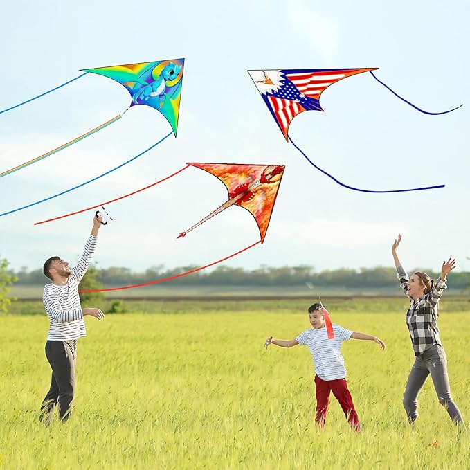 Large Kites for Adults Kites for Kids Ages 4-8， 8-12 Beach Park Outdoor Game Activities, Gifts for Easter and Festival