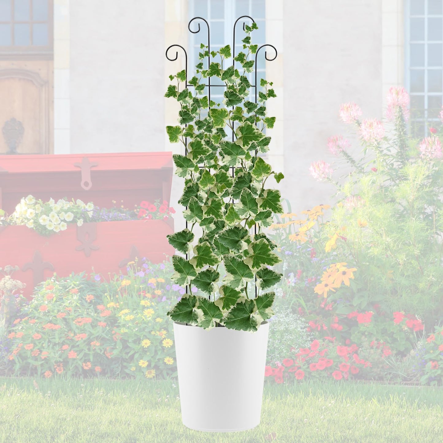 ANCOUUIN 4 Pack 32'' Wave Shape Black Metal Trellis for Climbing Plants Indoor & Outdoor, Garden Trellis for Houseplants Flowers Vine Ivy