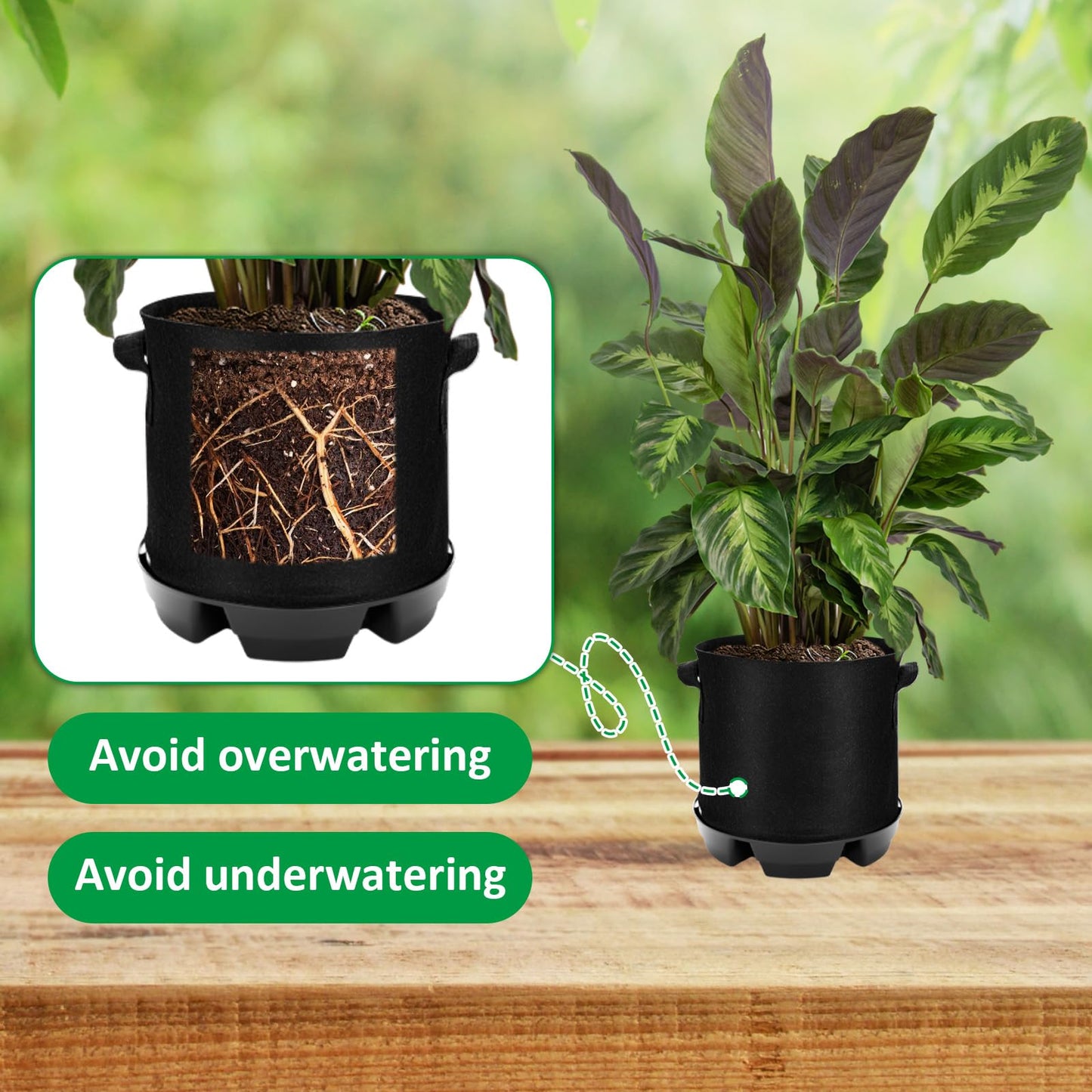 Jingmore 6 Set Self Watering Fabric Pot Base 3 Gallon Plant Nonwoven Grow Bags Automatic Watering System Plant Saucer Elevated Flower Trays with Handles for Fruits Vegetables Flowers Grow(Black)