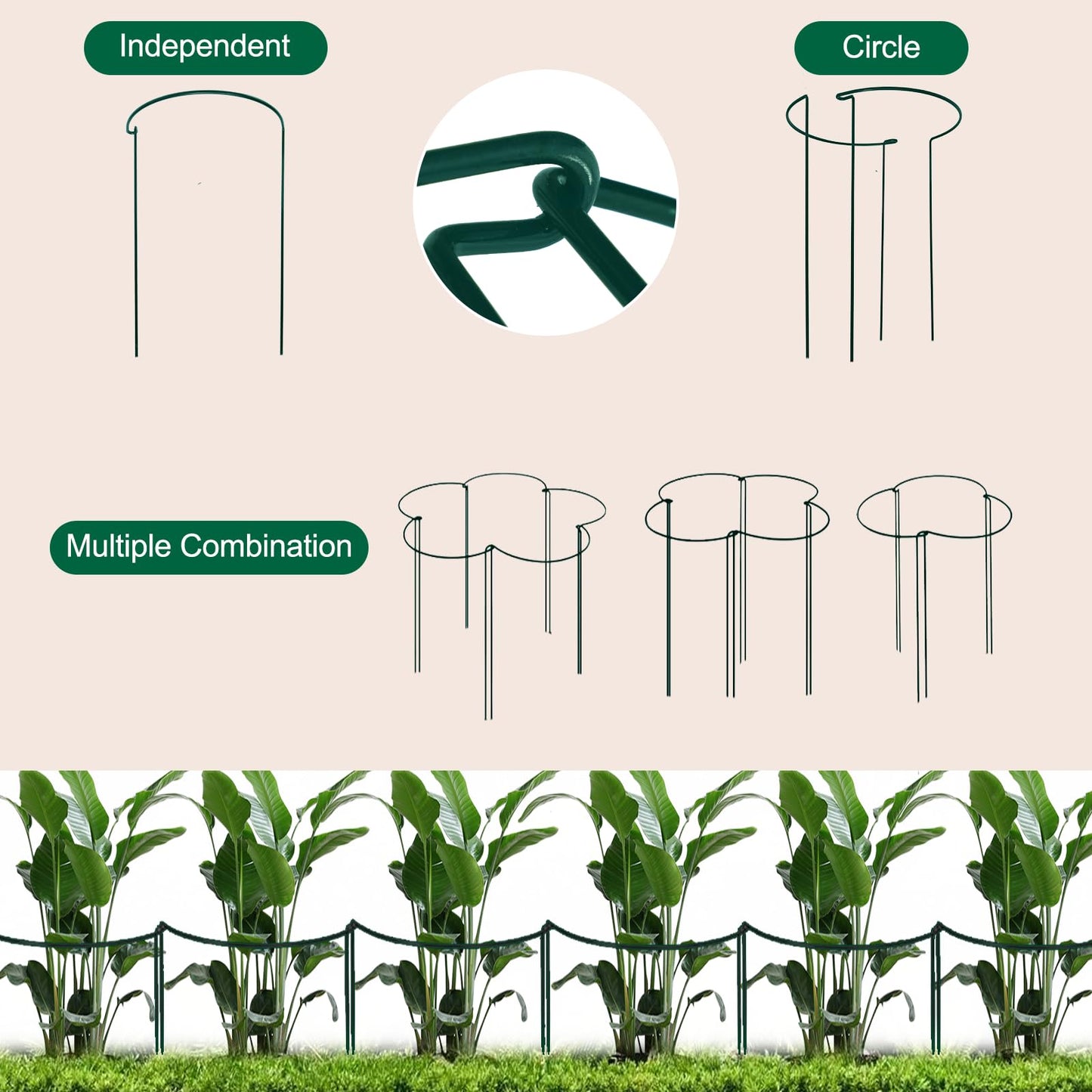 Tall Heavy-Duty 24in Plant Support Stakes - 8 Pack Adjustable Peony Cages & Supports for Outdoor Plants, Half-Round Garden Stakes for Hydrangea, Roses with Extension Stakes