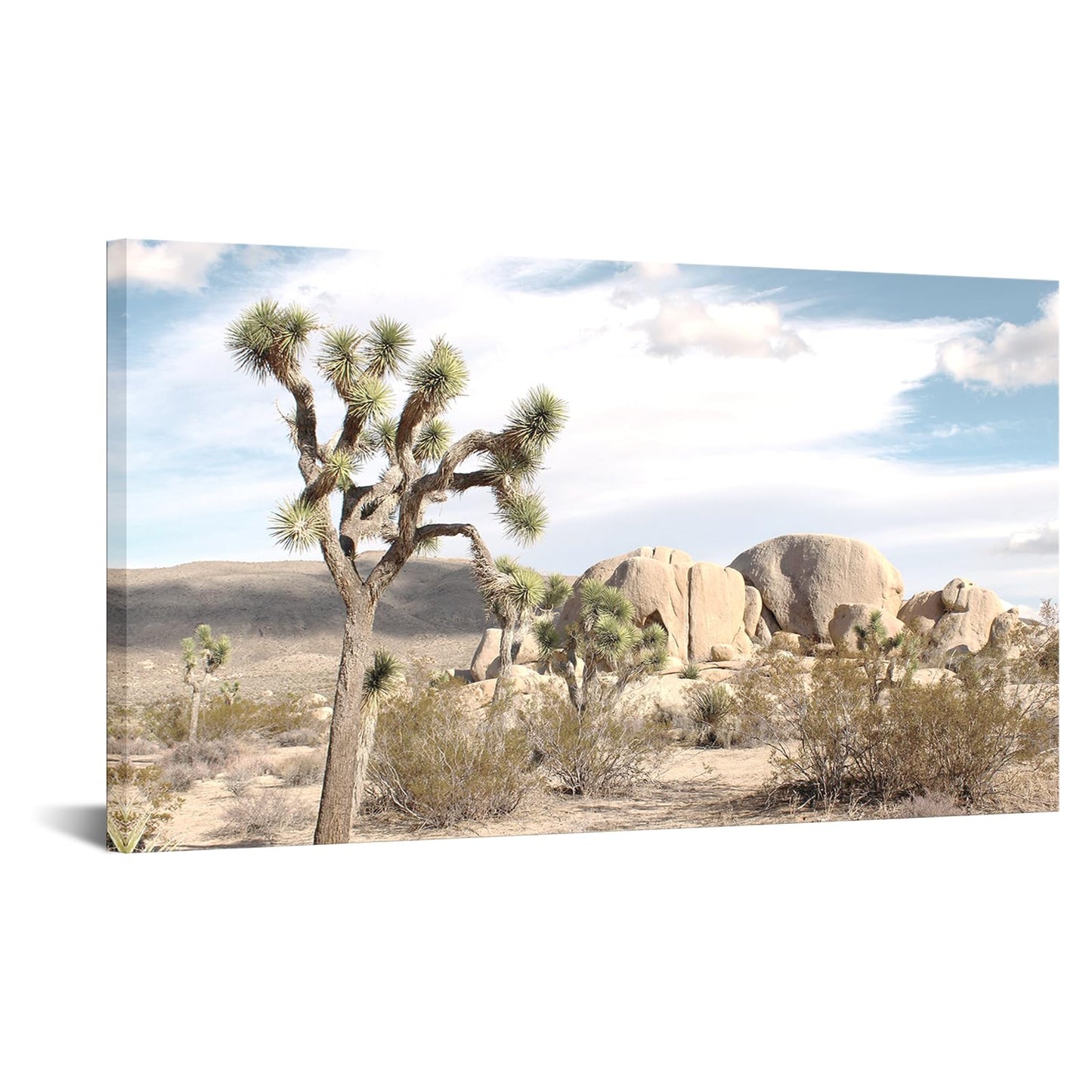 Artsbay Joshua Tree wall Art Arizona Pictures Desert Canvas Wall Decor Landscape Home Decor Paintings for Living Room Bedroom Office 20" x 36"