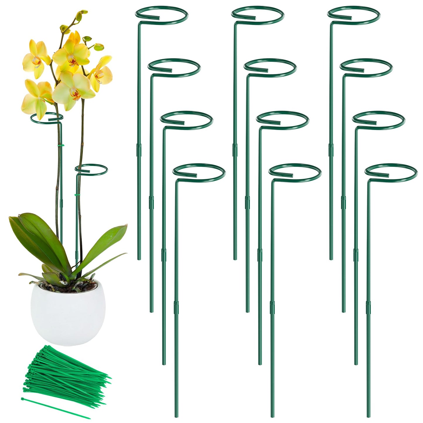 Unves 24 Inch Plant Stakes Tall, 12 Pack Garden Plant Support Stakes,Two Sizes(12" or 24") Single Stem Plant Cage for Outdoor Indoor Plants Orchid, Tomatoes, Peony, Lily, with 100 Pcs Twist Ties